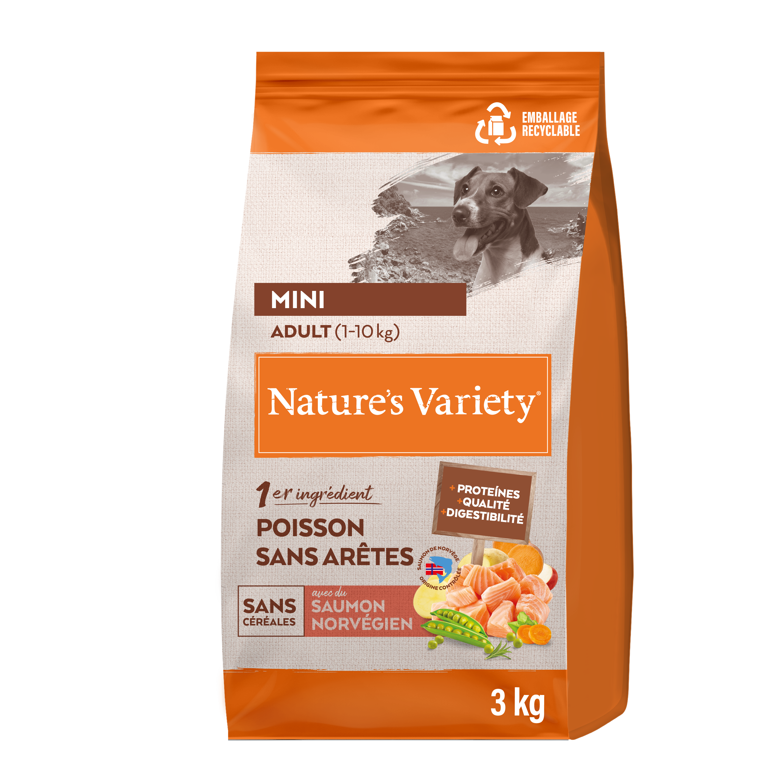 Croquettes pour chien adulte sans céréales mini saumon 3 kg - Nature's Variety - Image 2