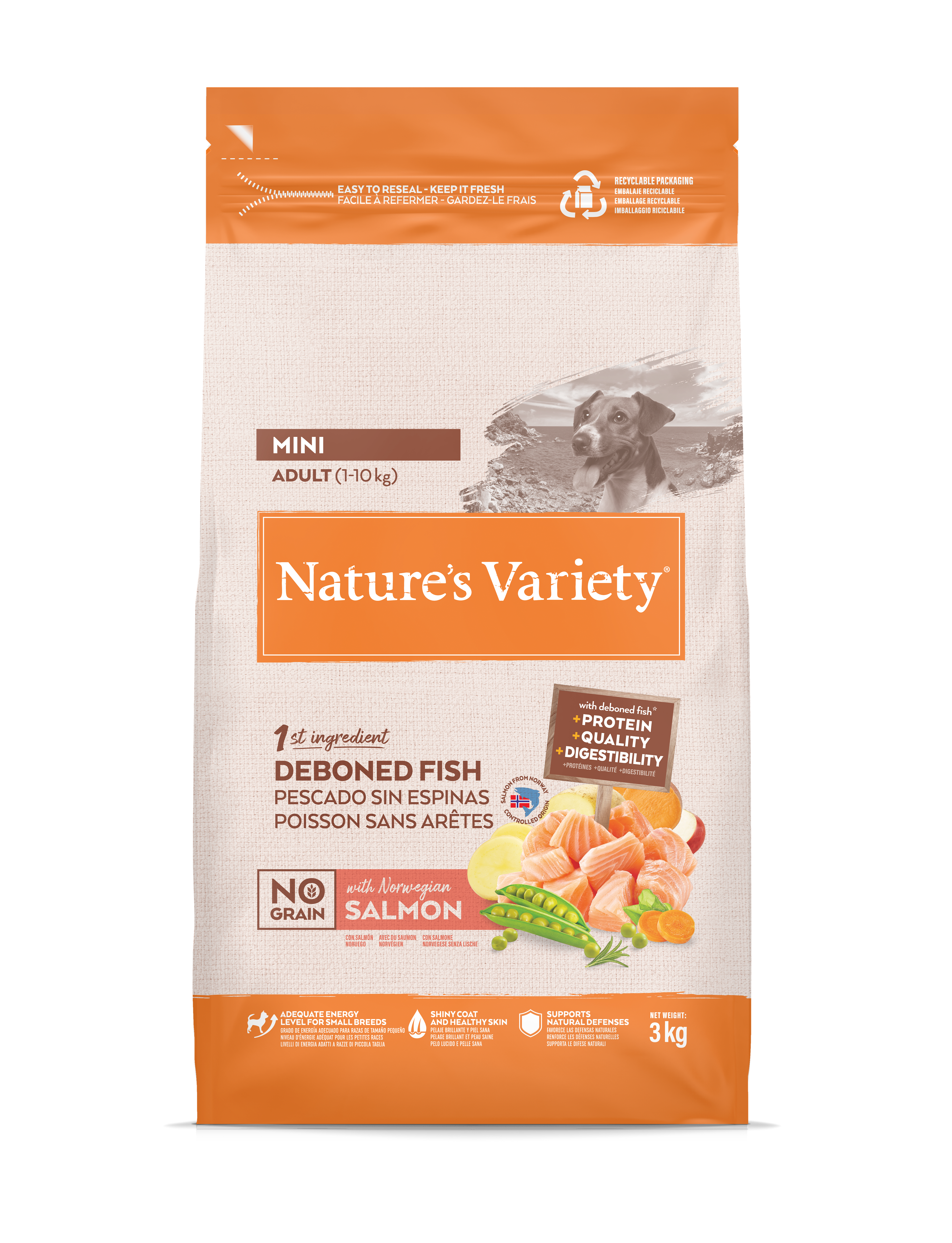 Croquettes pour chien adulte sans céréales mini saumon 3 kg - Nature's Variety - Image 1
