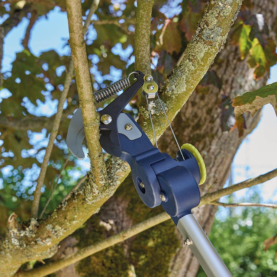 Ecloz - Podadora telescópica con sierra - 4 m - ECLOZ - Imagen 9