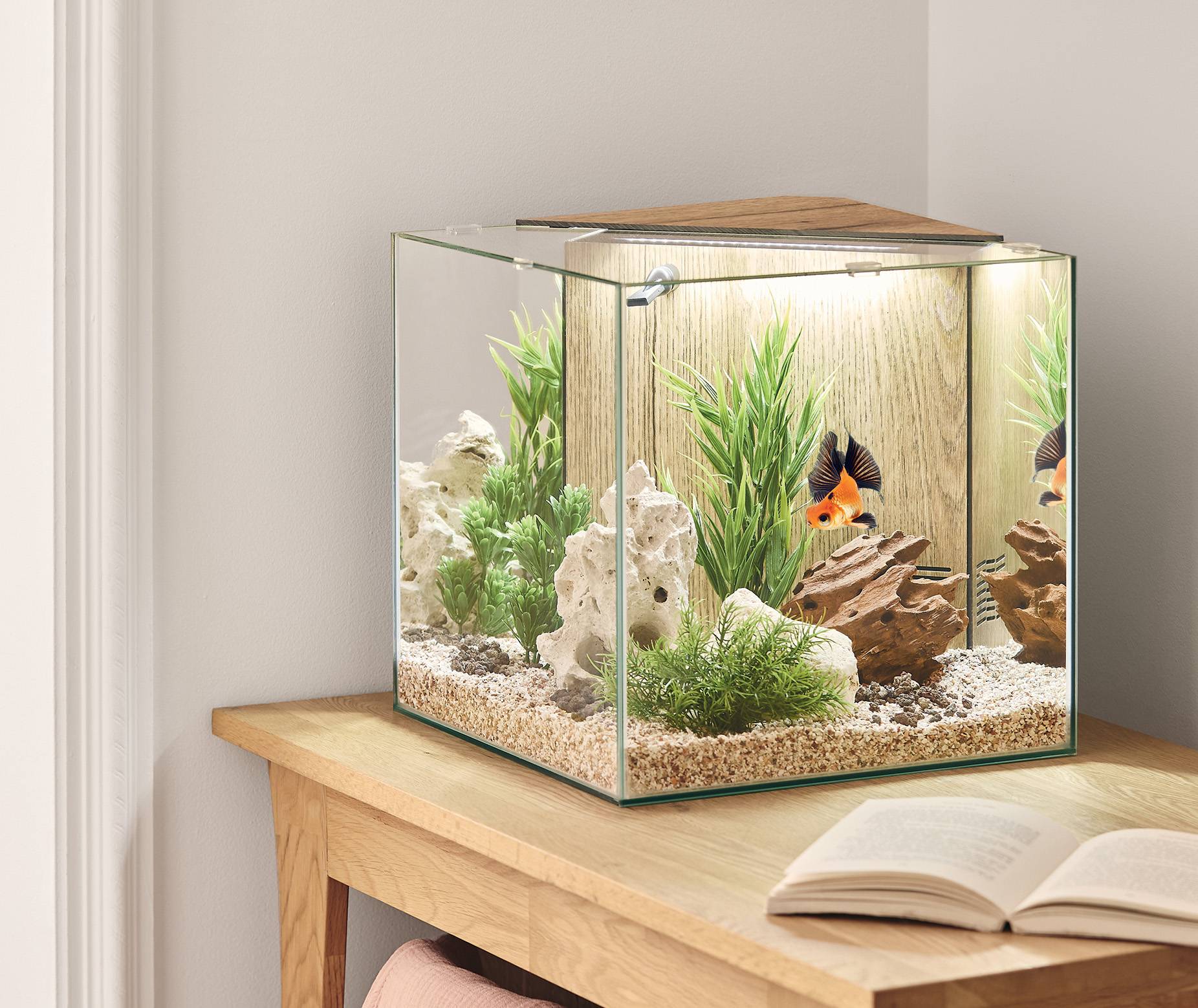 Pure Family - Aquarium pour poisson Stella 29 L - Pure Family - Image 1