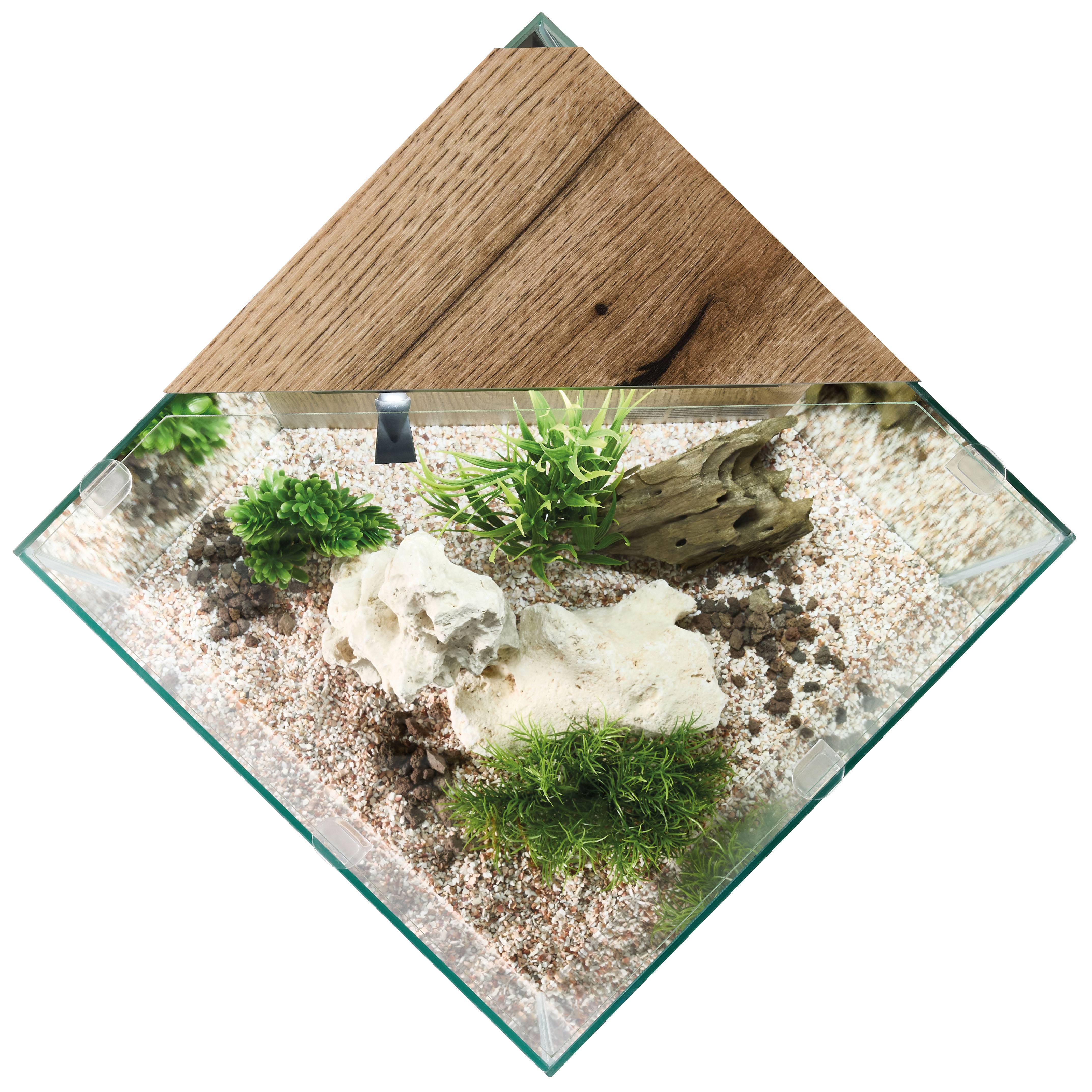 Pure Family - Aquarium pour poisson Stella 29 L - Pure Family - Image 3