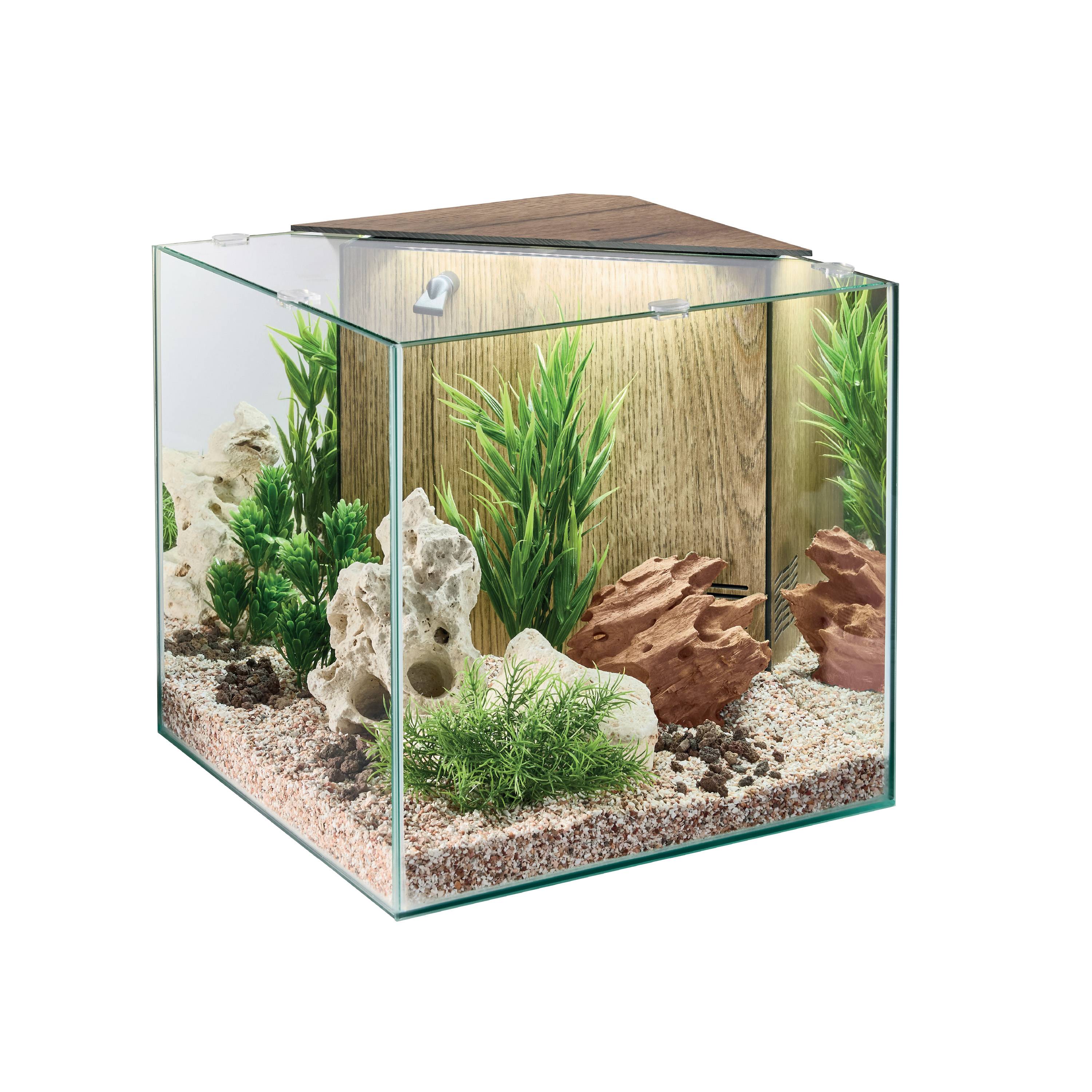 Pure Family - Aquarium pour poisson Stella 29 L - Pure Family - Image 5