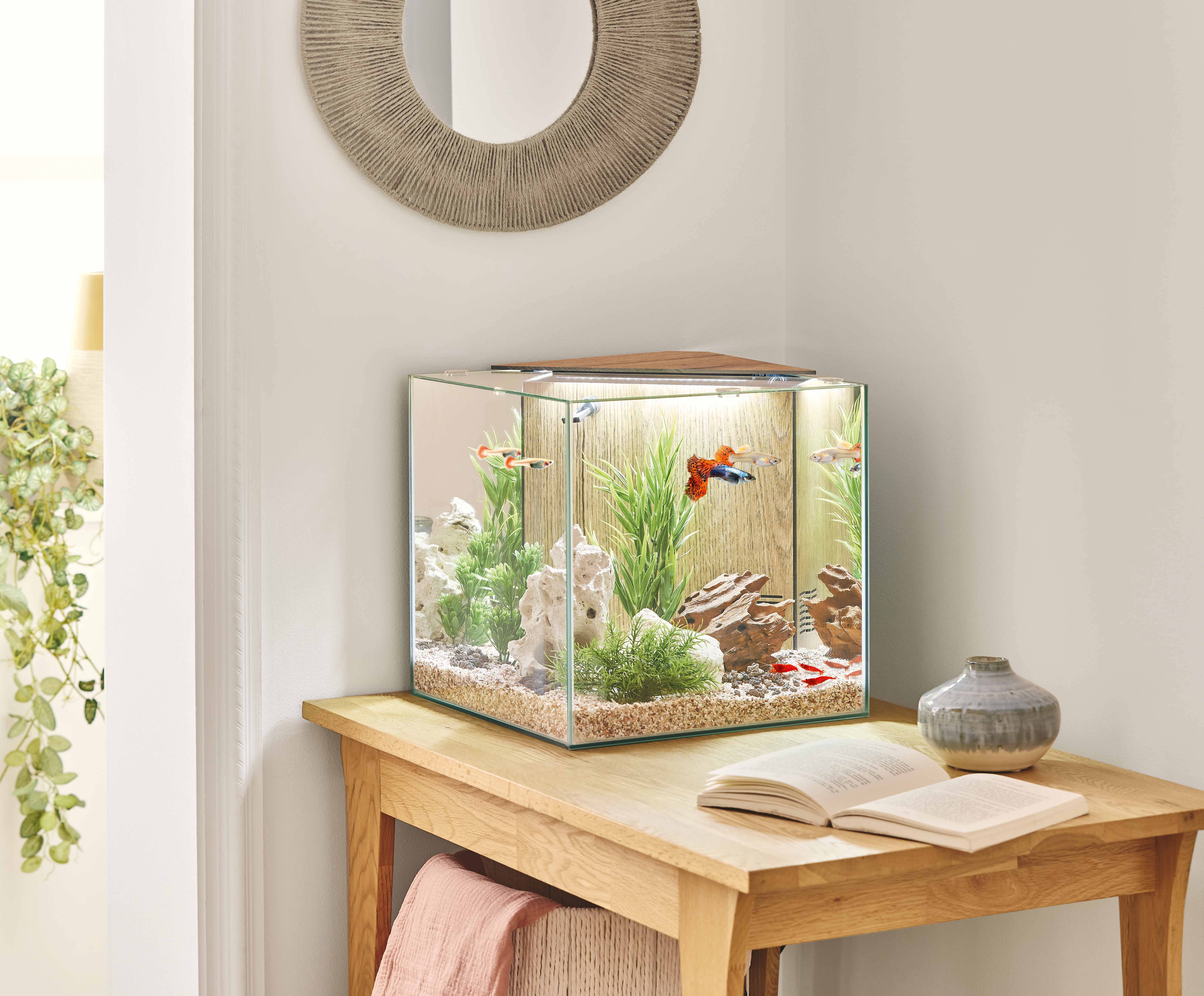 Pure Family - Aquarium pour poisson Stella 29 L - Pure Family - Image 2