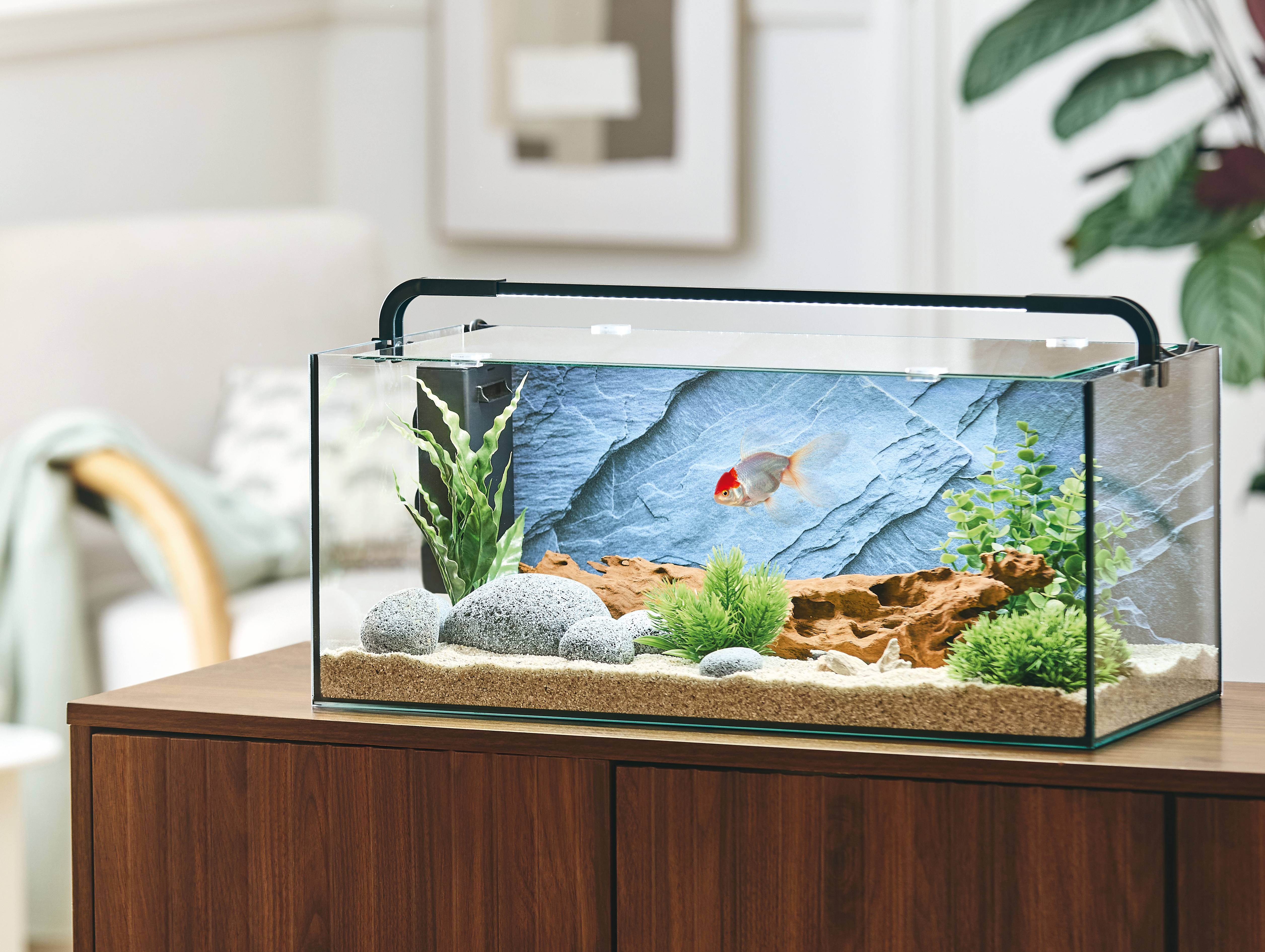 Pure Family - Aquarium pour poisson Abysse 31 L - Pure Family - Image 1