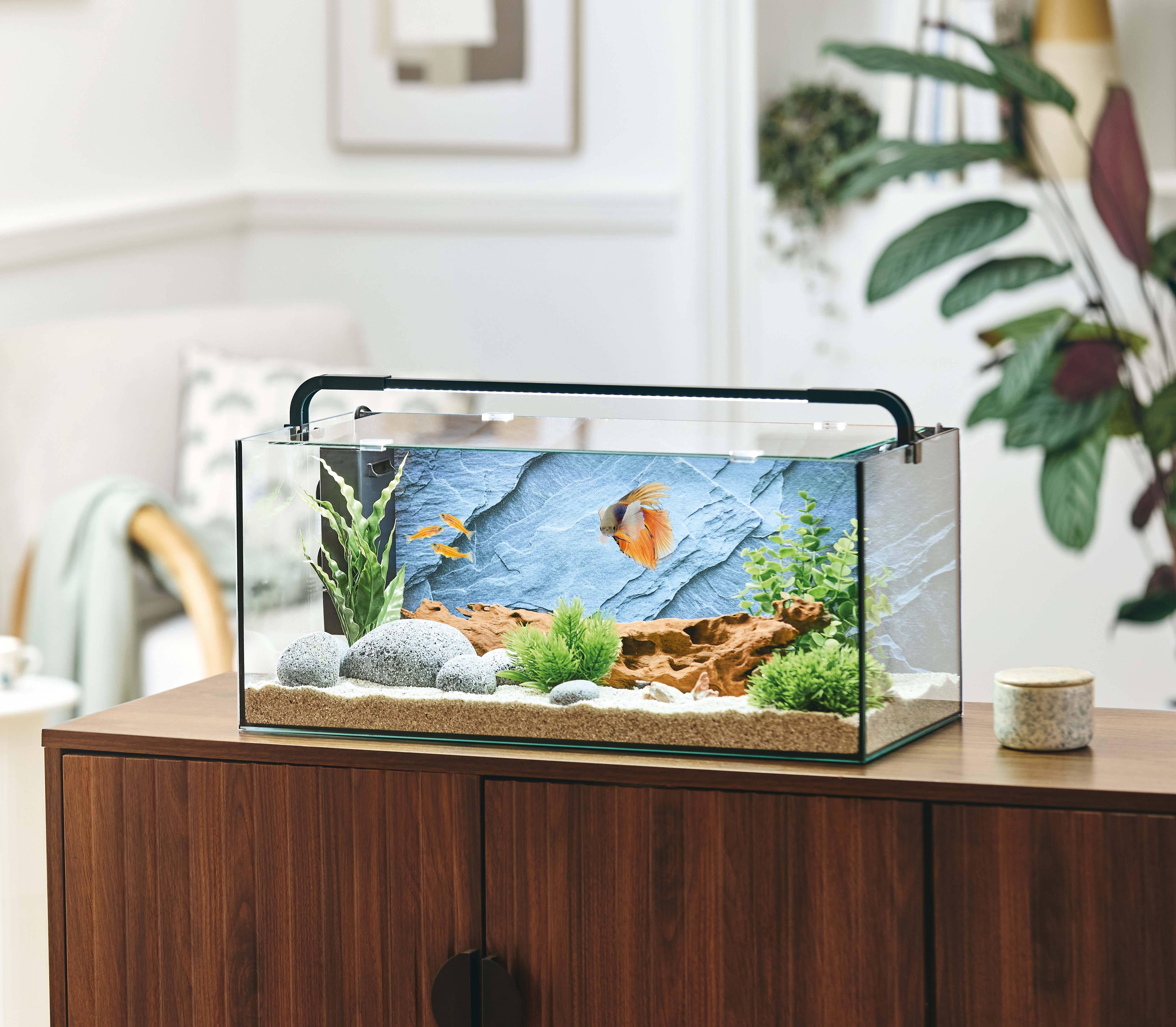 Pure Family - Aquarium pour poisson Abysse 31 L - Pure Family - Image 9