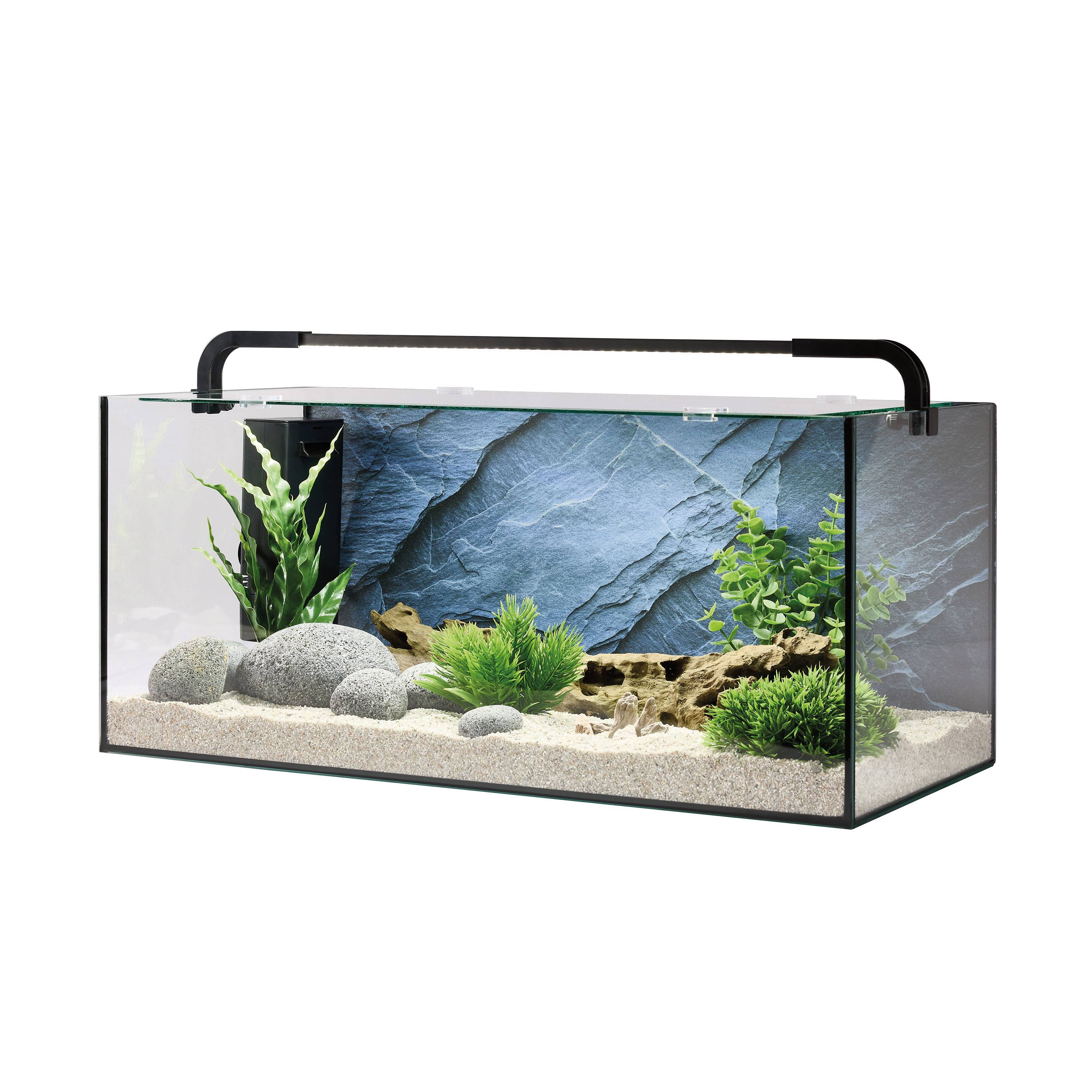 Pure Family - Aquarium pour poisson Abysse 31 L - Pure Family - Image 3