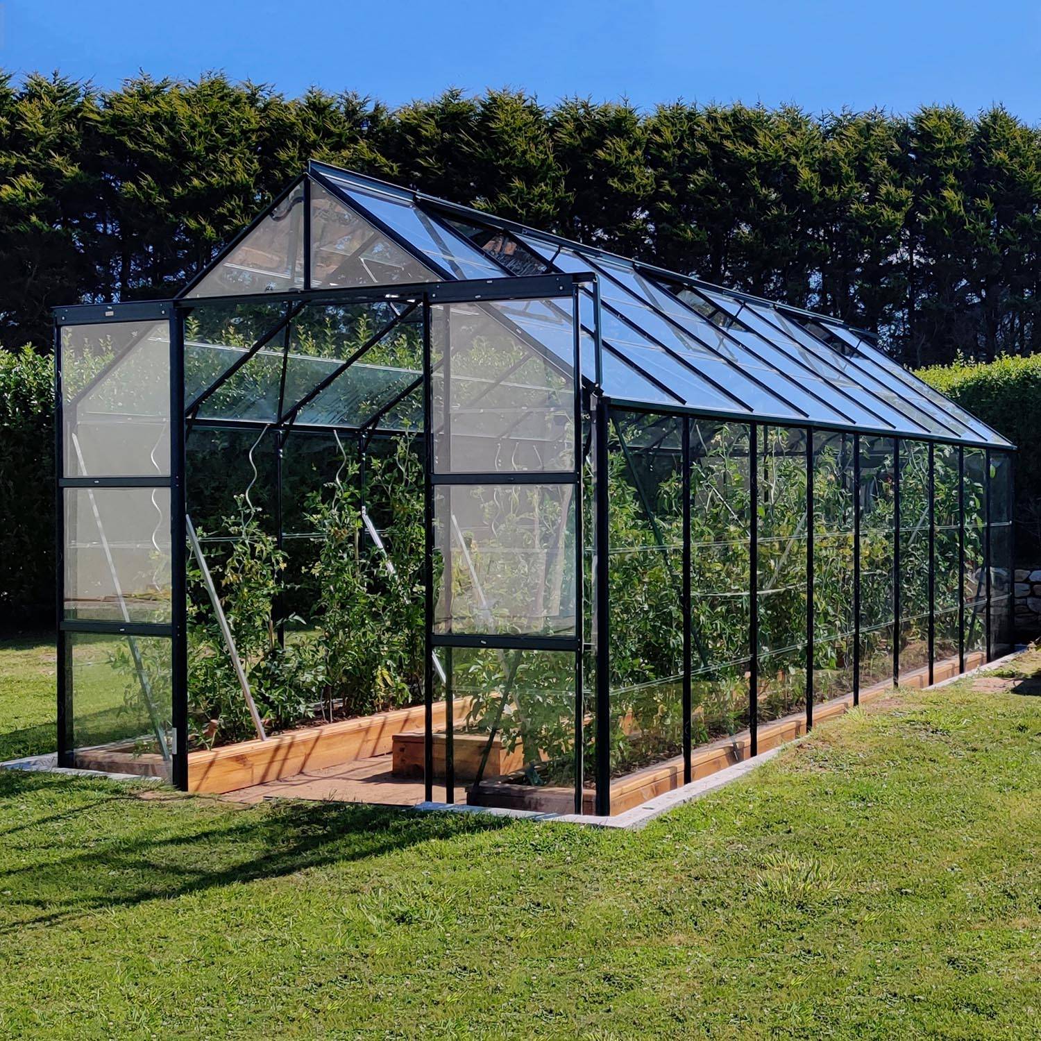 LAMS - Serre de jardin verre trempé aluminium vert 14,4 m² Laurus avec embase - Lams - Image 3