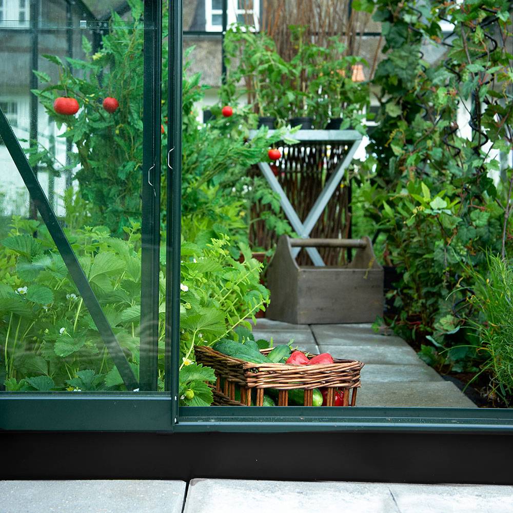Halls - Serre de jardin verre trempé aluminium vert 5 m² Popular 86 - Halls - Image 8
