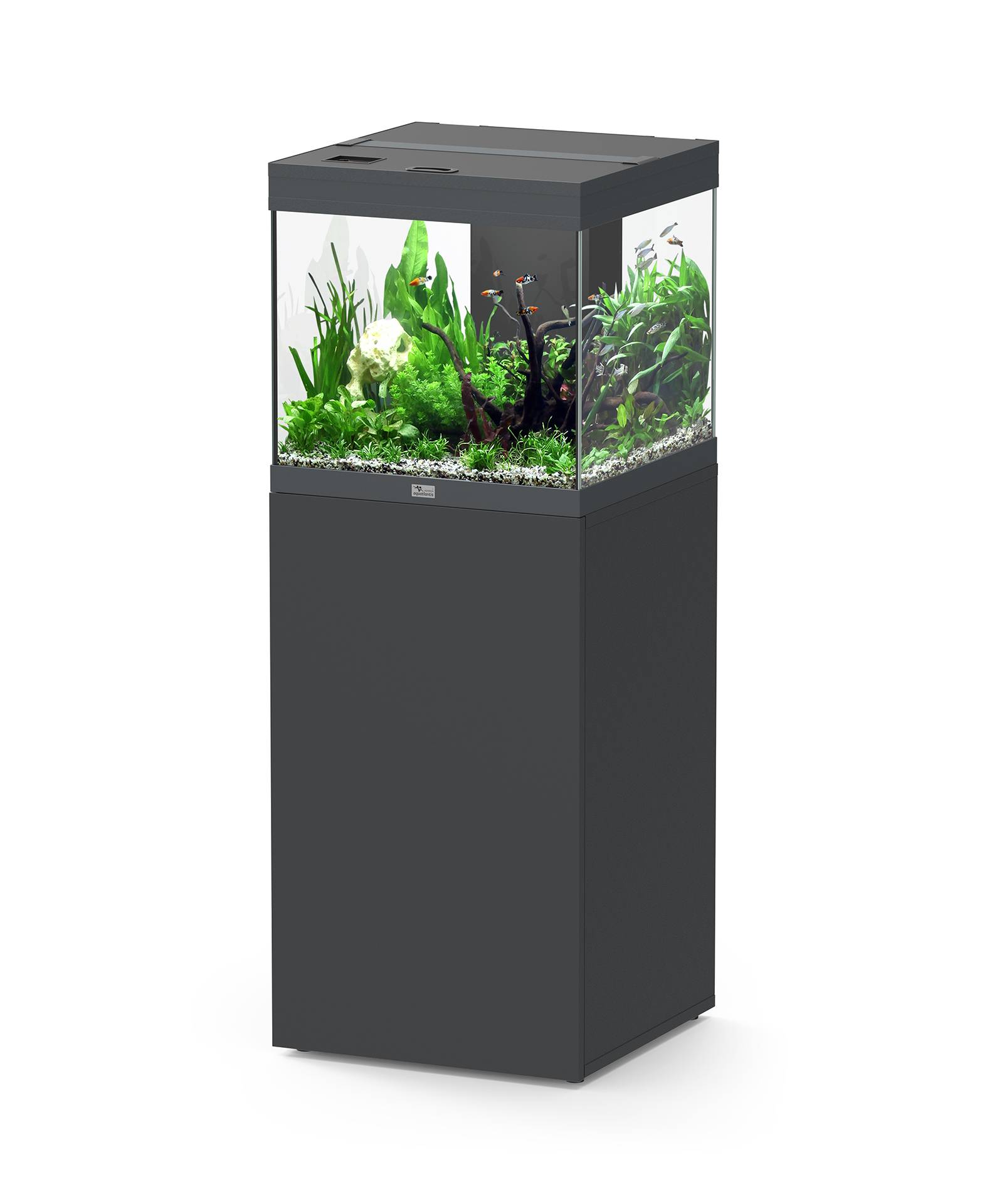 Aquatlantis - Ensemble Aquarium pour poissons + Meuble Gris Anthracite 97 L - Aquatlantis
