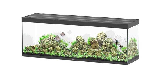 Aquatlantis - Aquarium pour poissons Sublime Ultra Noir Brillant 675 L - Aquatlantis - Image 1