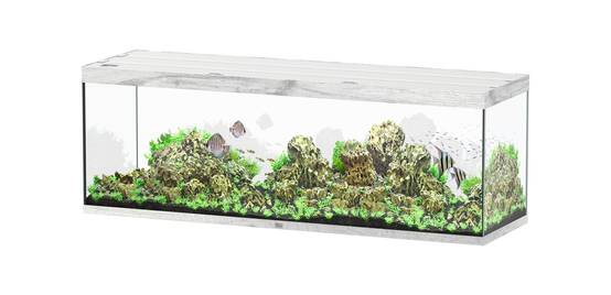 Aquatlantis - Aquarium pour poissons Sublime Ultra Chêne Blanc 675 L - Aquatlantis - Image 1