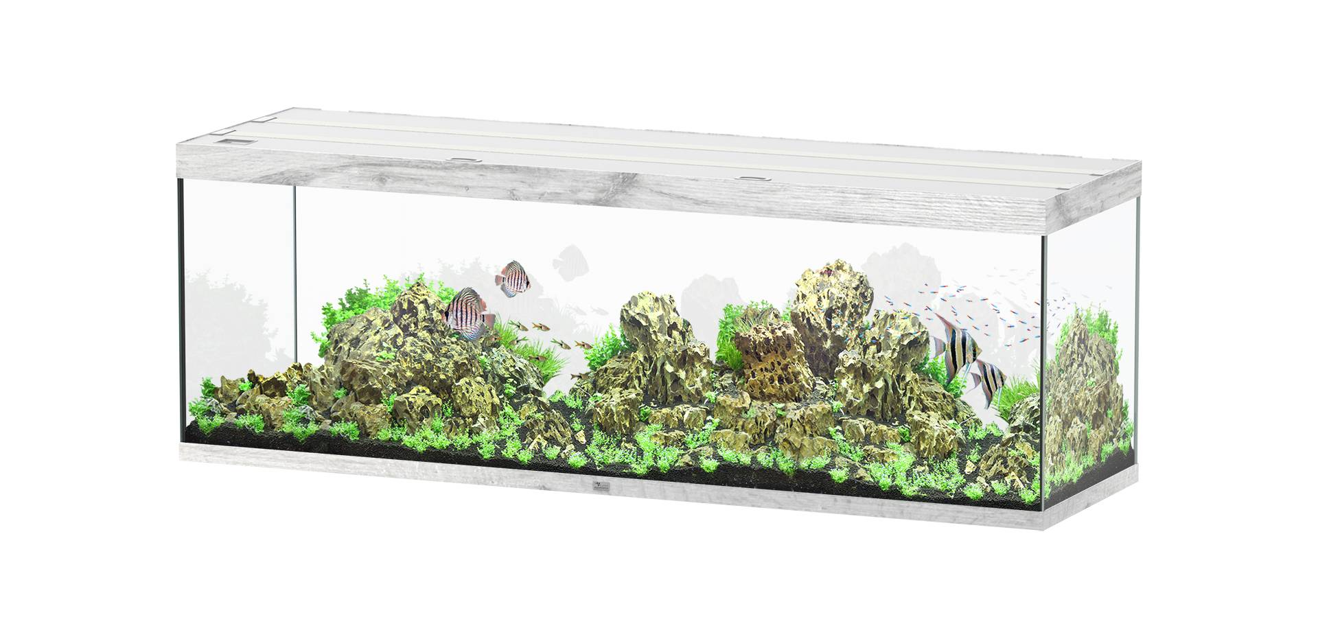 Aquatlantis - Aquarium pour poissons Sublime Ultra Chêne Blanc  675 L - Aquatlantis - Image 1