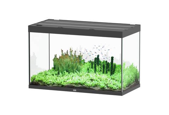 Aquatlantis - Aquarium pour poissons Sublime Ultra Noir Brillant 433 L - Aquatlantis - Image 1