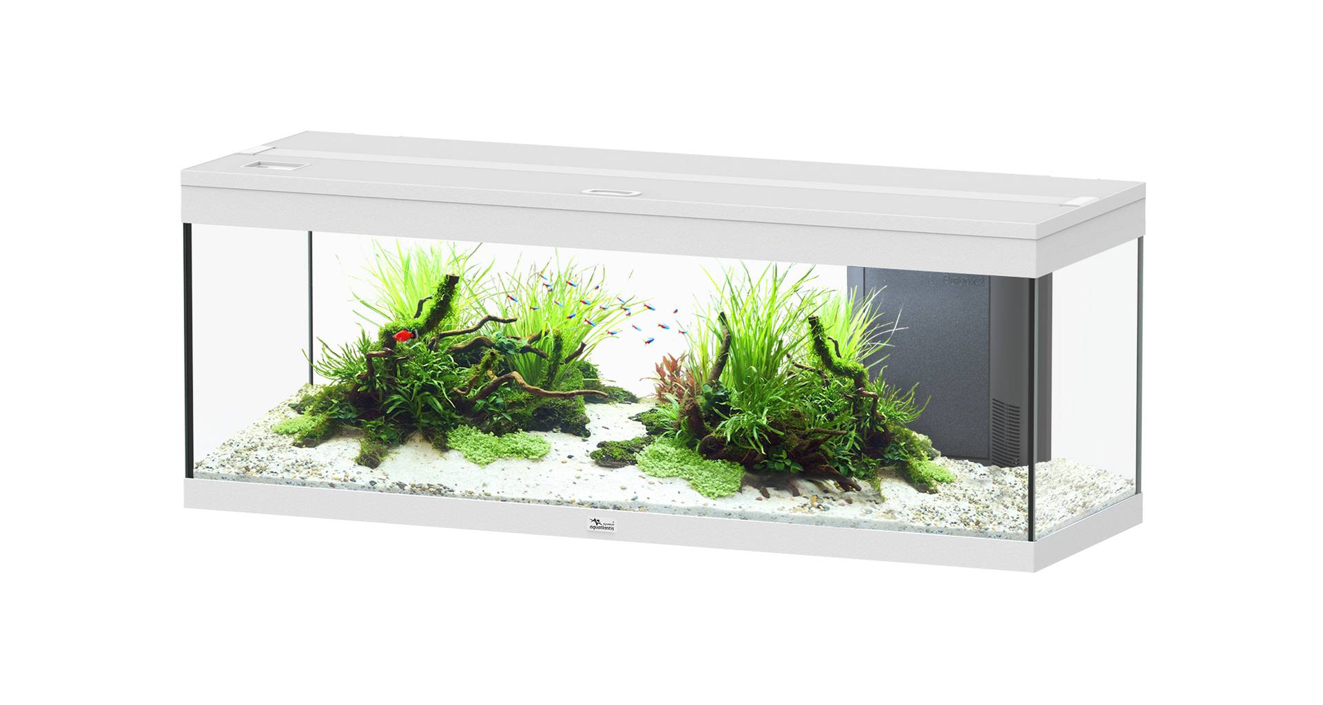 Aquatlantis - Aquarium pour poissons Prestige  170L Blanc-Aquatlantis