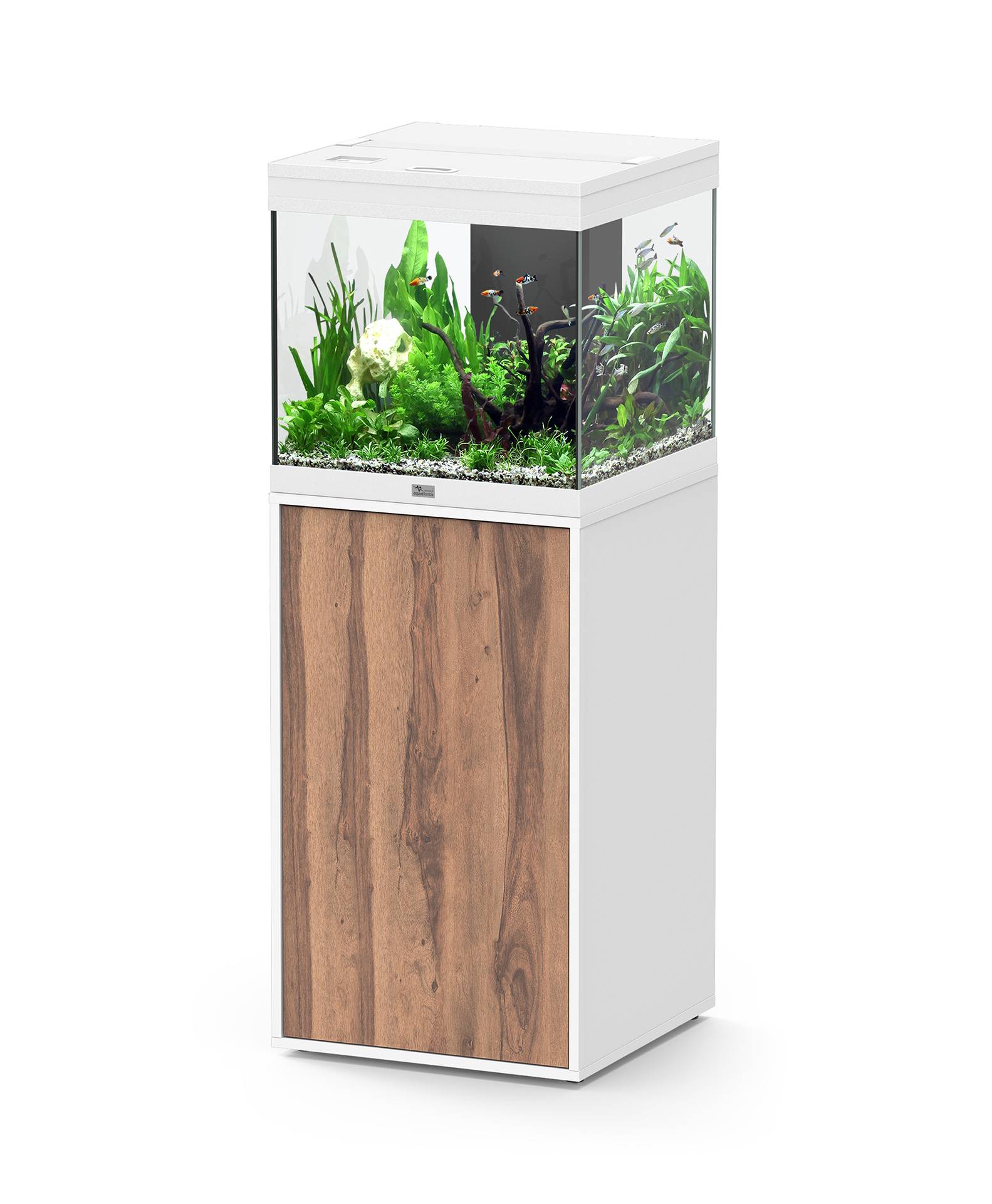 Aquatlantis - Ensemble Aquarium pour poissons + Meuble Blanc Porte Bois 97 L - Aquatlantis