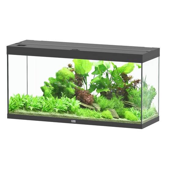 Aquatlantis - Aquarium pour poissons Splendid Noir 240 L - Aquatlantis - Image 1