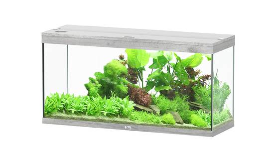 Aquatlantis - Aquarium pour poissons Splendid Ultra Chêne Blanc 240 L - Aquatlantis - Image 1