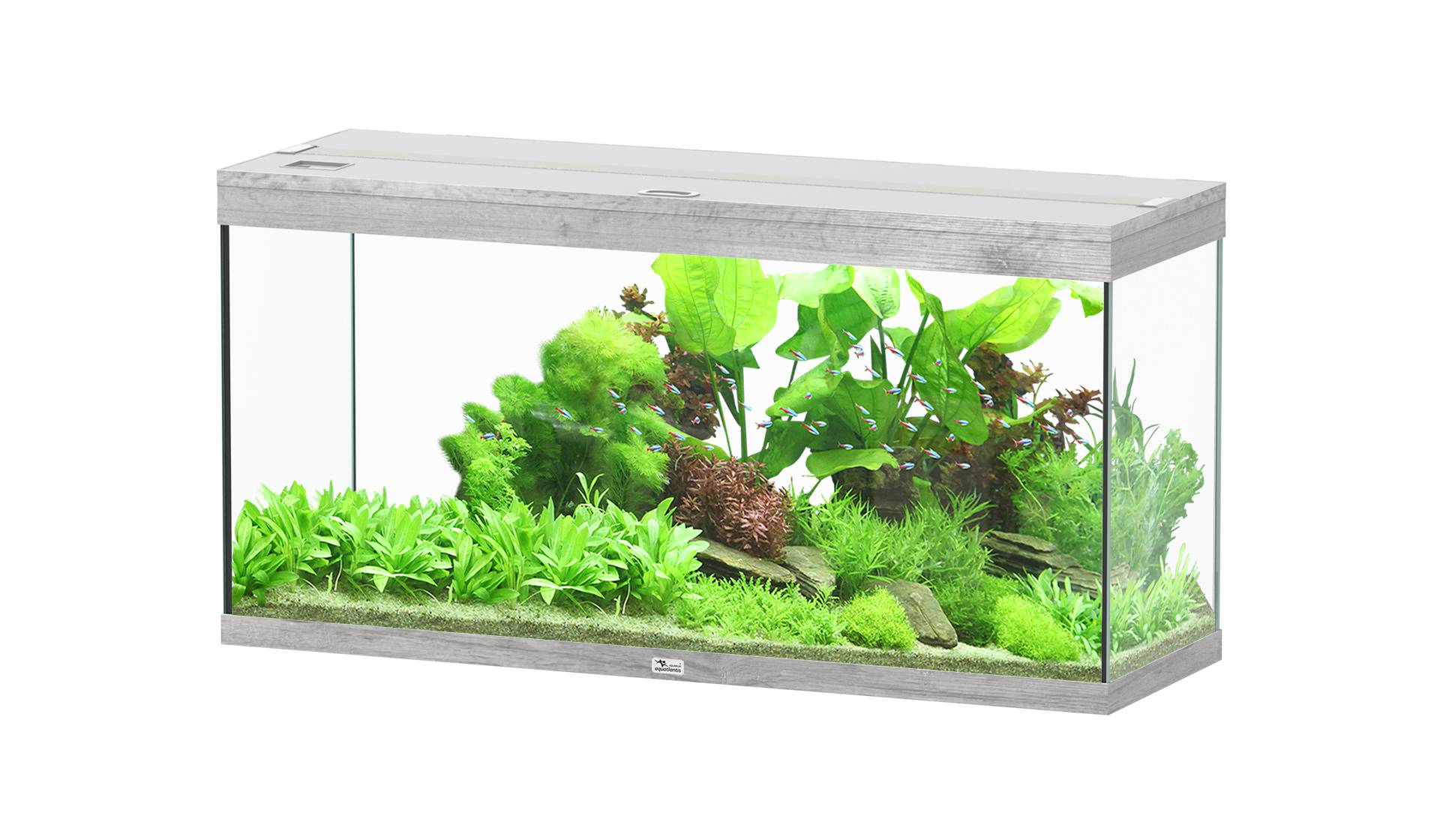 Aquatlantis - Aquarium pour poissons Splendid Ultra Chêne Blanc 240 L - Aquatlantis - Image 1