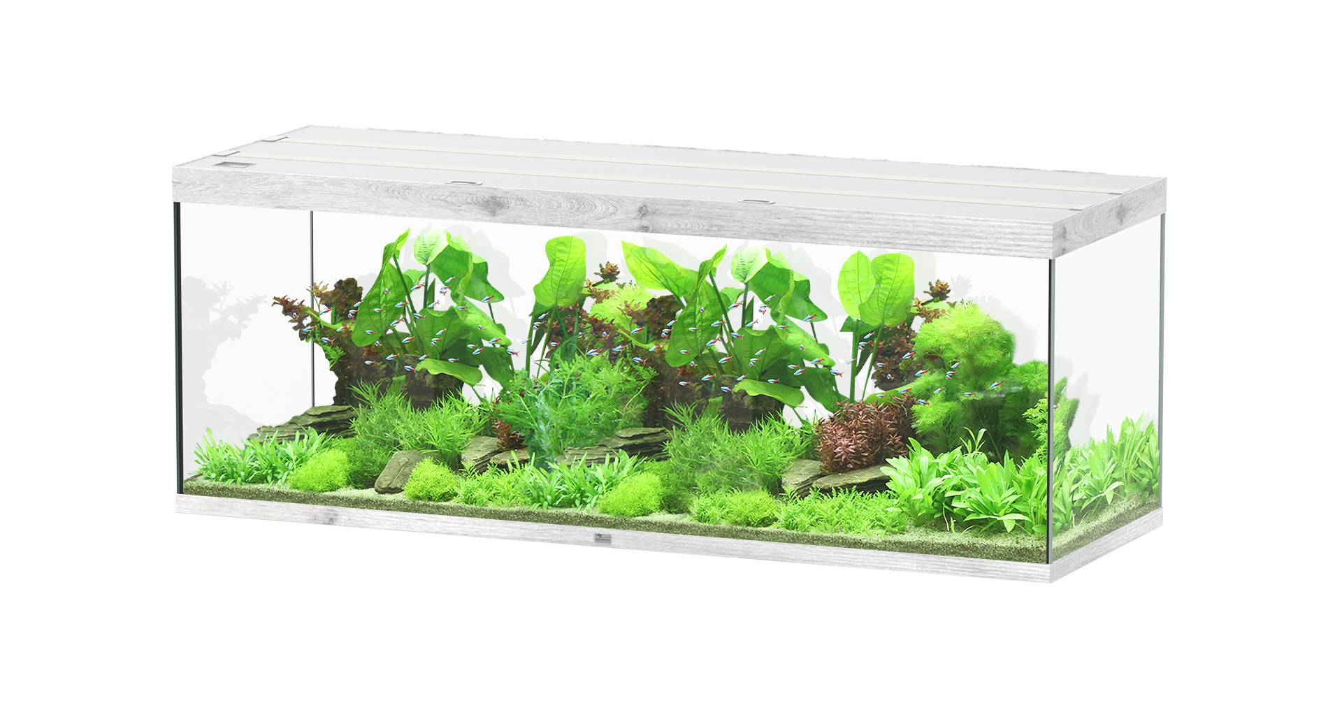 Aquatlantis - Aquarium pour poissons Sublime Ultra  CHEN Blanc 853 L- Aquatlantis - Image 1