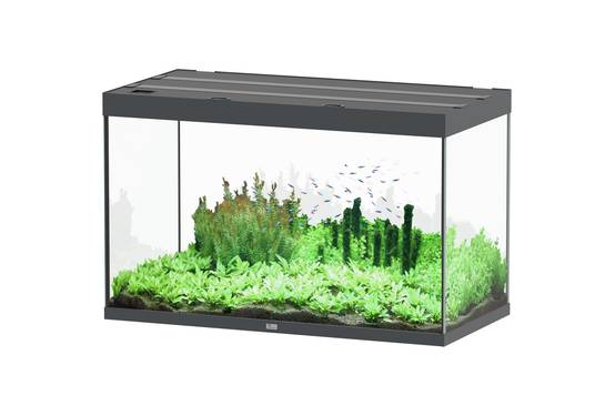 Aquatlantis - Aquarium pour poissons Sublime Gris Brillant 433 L - Aquatlantis