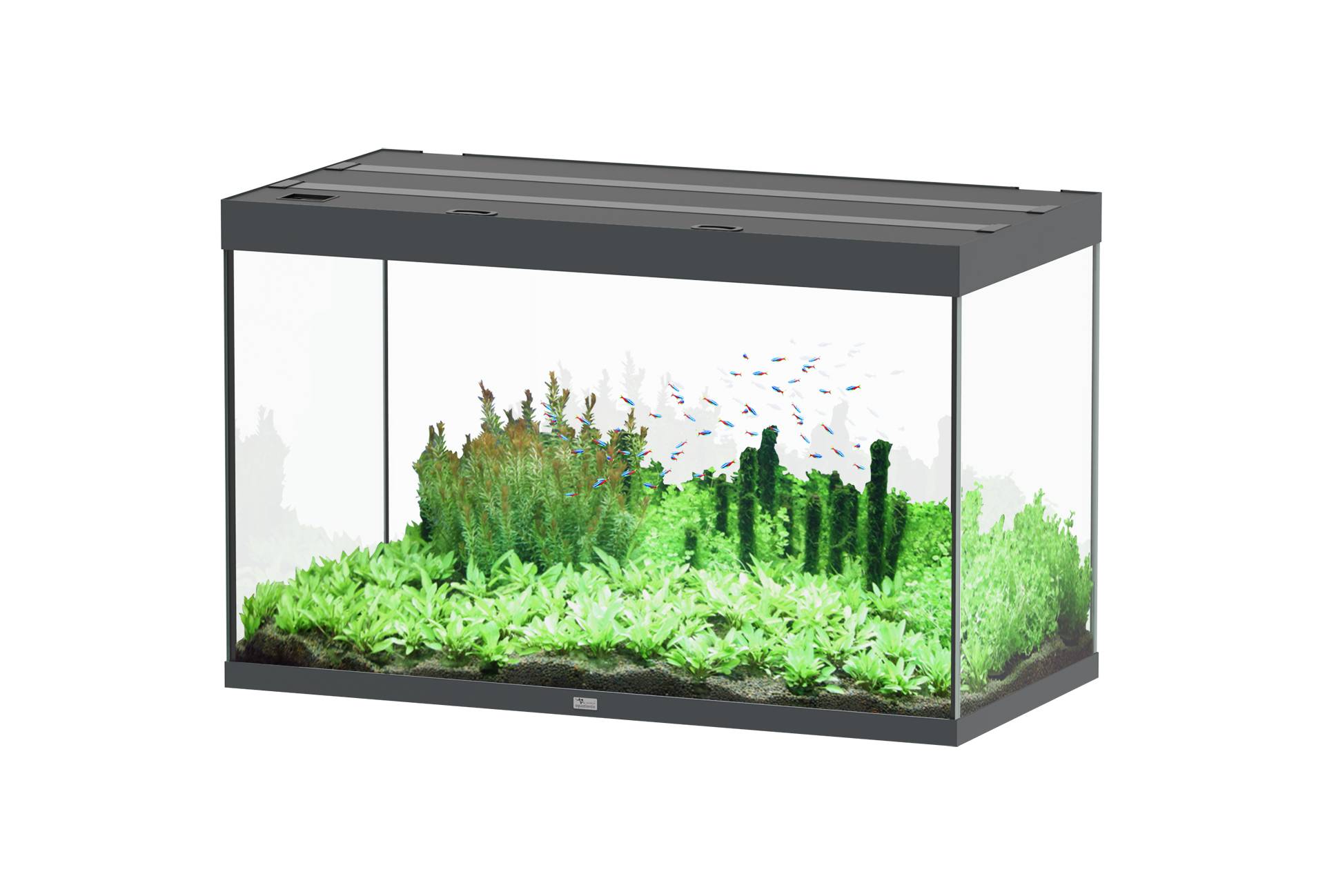 Aquatlantis - Aquarium pour poissons Sublime Gris Brillant  433 L - Aquatlantis