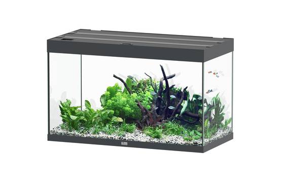 Aquatlantis - Aquarium pour poissons Sublime Ultra Gris Anthracite 246 L - Aquatlantis - Image 1