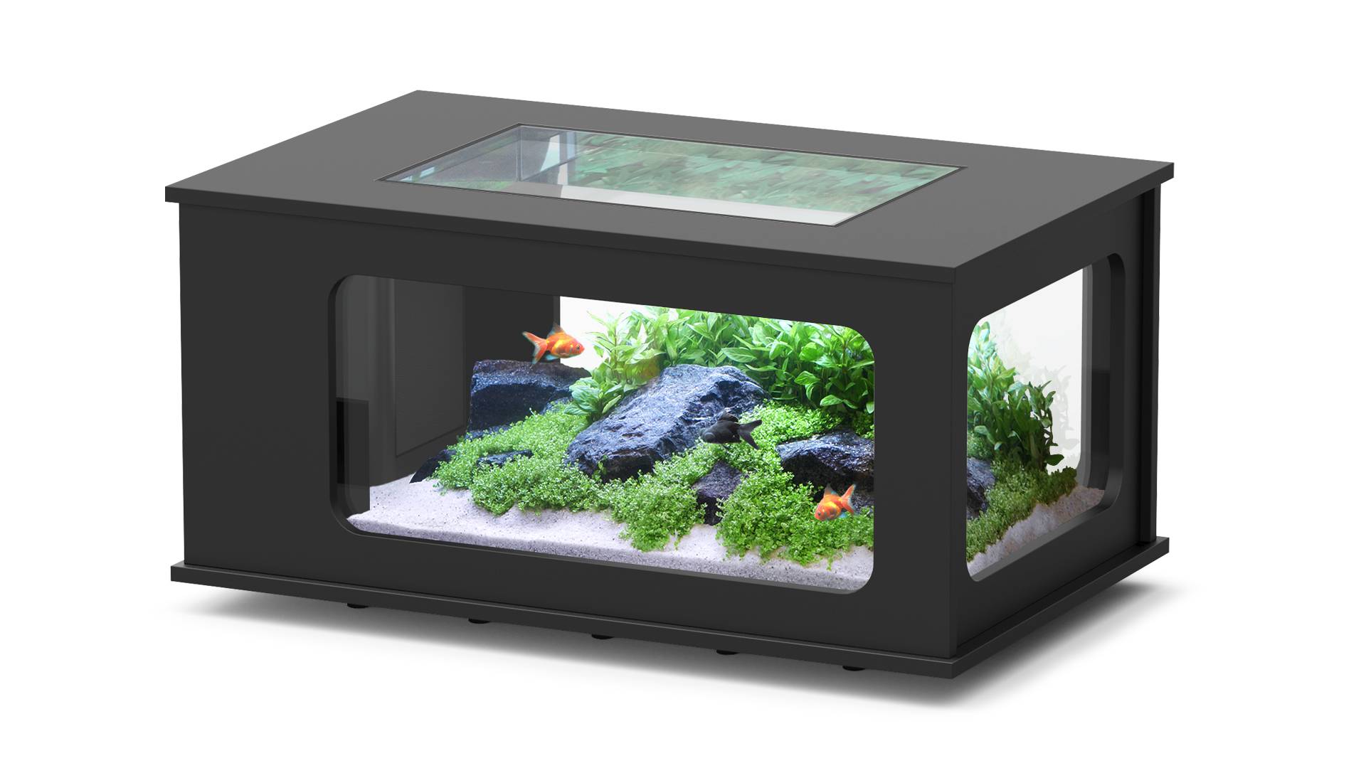 Aquatlantis - Aquarium pour poissons Aquatable Noir 177 L  - Aquatlantis - Image 1
