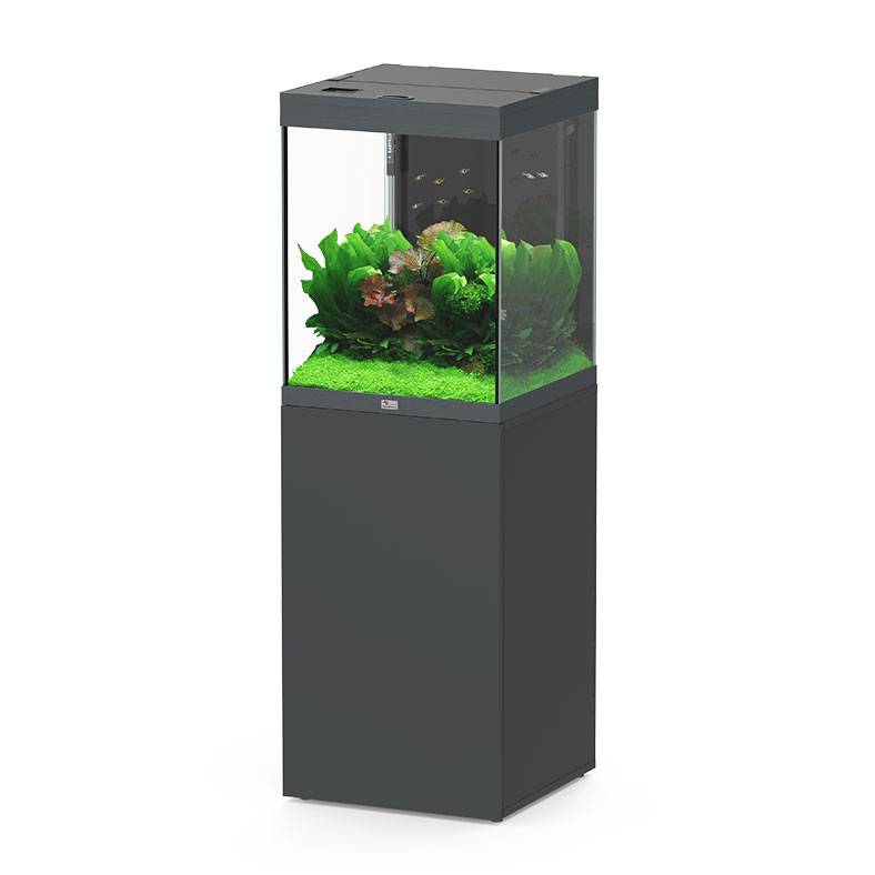 Aquatlantis - Ensemble Aquarium pour poissons + Meuble Gris Anthracite 133 L - Aquatlantis