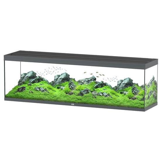 Aquatlantis - Aquarium pour poissons Splendid Ultra Gris Anthracite 500 L - Aquatlantis - Image 1