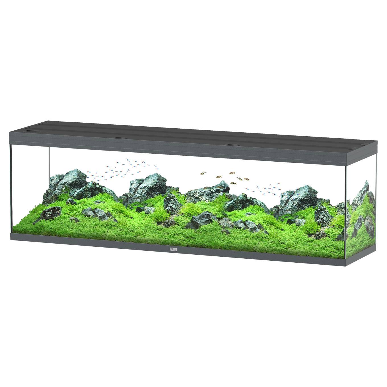 Aquatlantis - Aquarium pour poissons Splendid Ultra Gris Anthracite 500 L  - Aquatlantis - Image 1