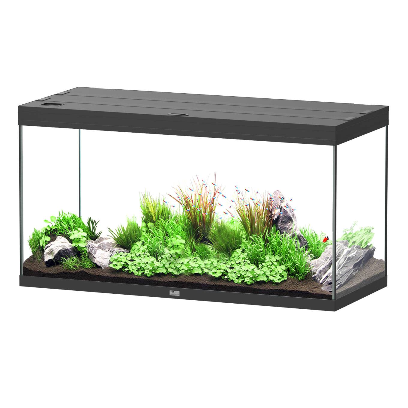 Aquatlantis - Aquarium pour poissons Splendid Ultra Noir 350 L - Aquatlantis - Image 1