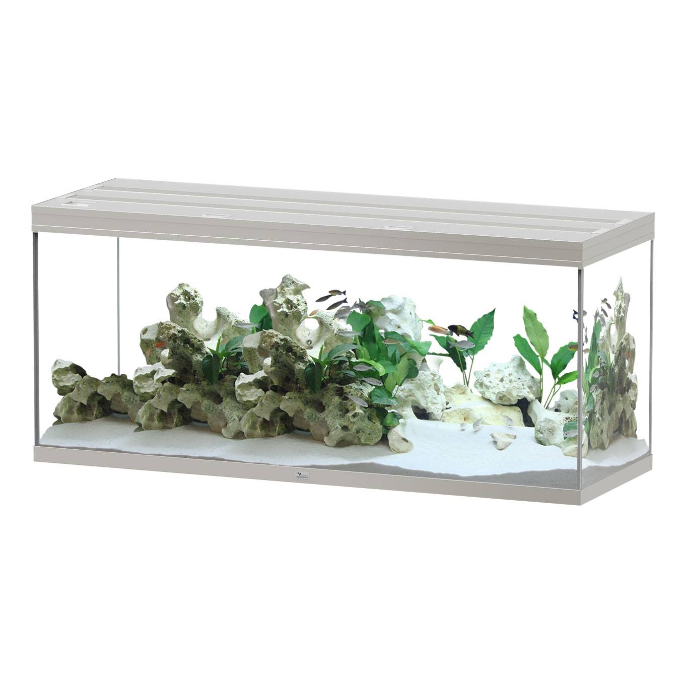 Aquatlantis - Aquarium pour poissons Splendid Ultra Inox 450 L - Aquatlantis - Image 1