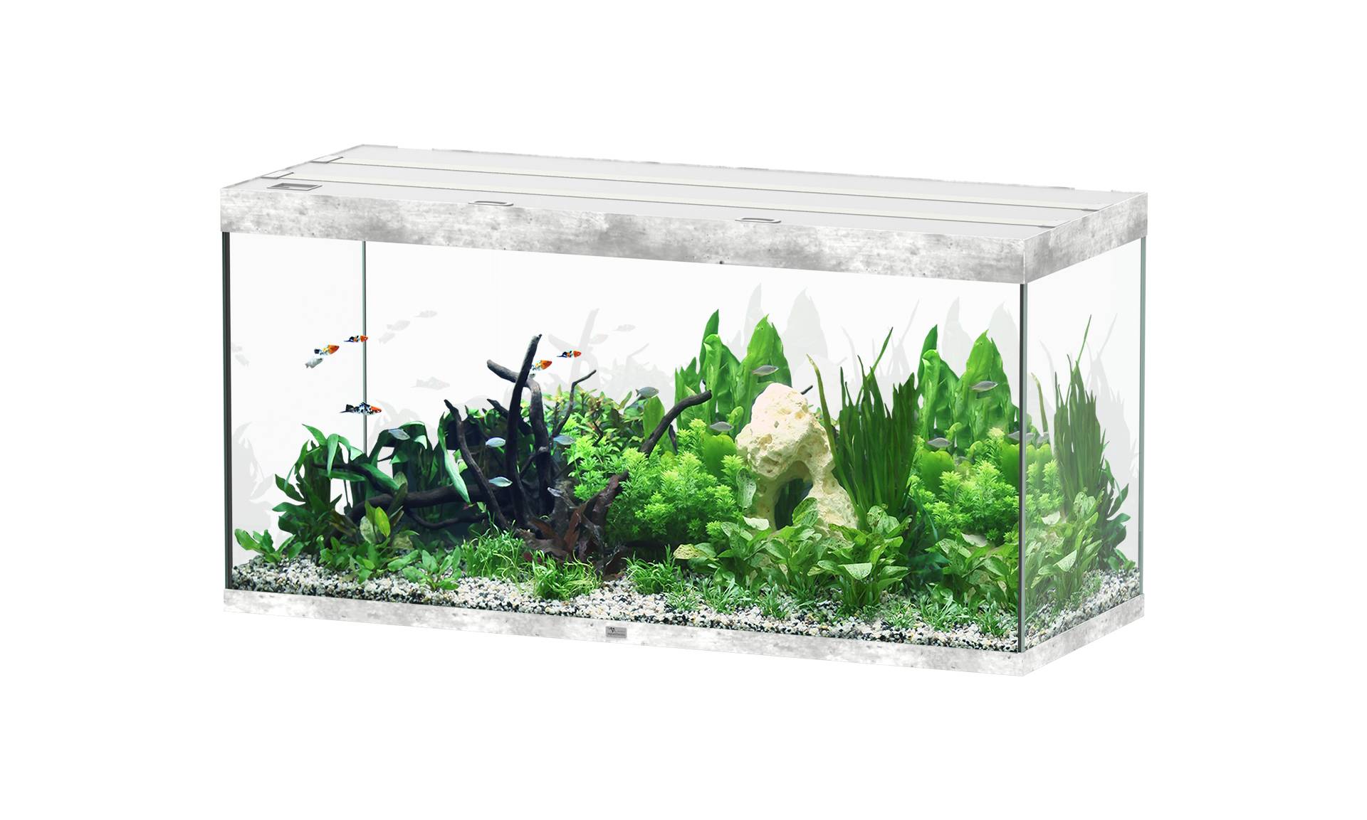 Aquatlantis - Aquarium pour poissons Sublime  Béton 544 L - Aquatlantis - Image 1