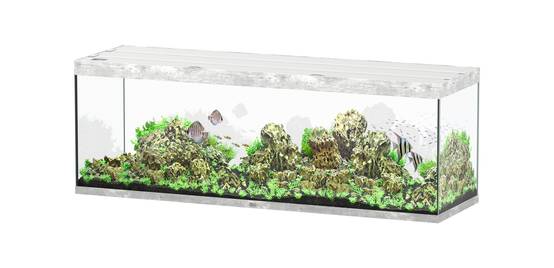 Aquatlantis - Aquarium pour poissons Sublime Ultra Béton 675 L - Aquatlantis - Image 1