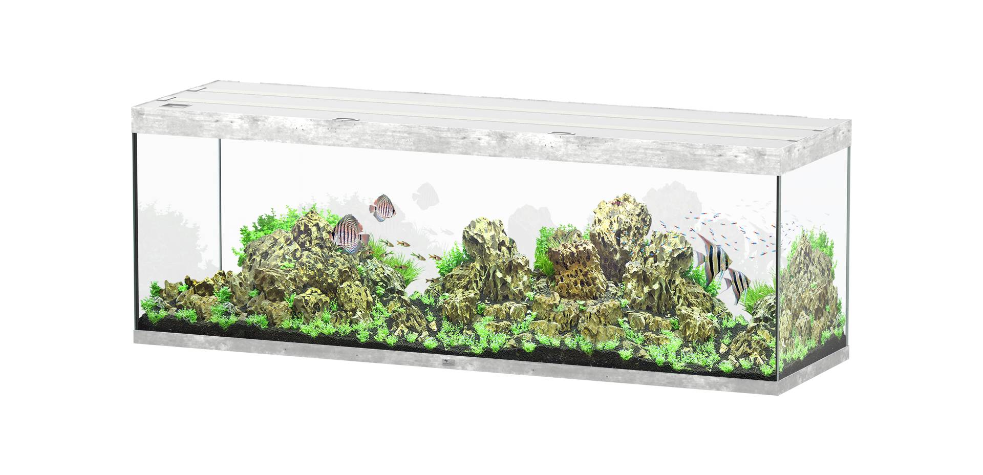 Aquatlantis - Aquarium pour poissons Sublime Ultra Béton 675 L   - Aquatlantis - Image 1