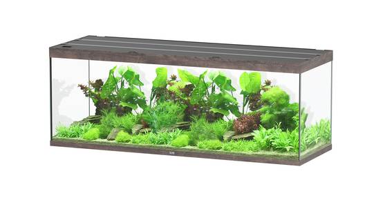 Aquatlantis - Aquarium pour poissons Sublime Ultra Chêne Sauvage 853 L - Aquatlantis - Image 1