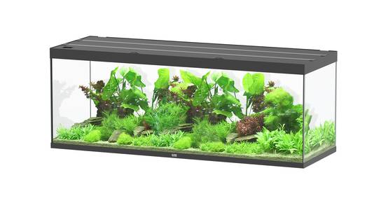 Aquatlantis - Aquarium pour poissons Sublime Ultra Noir Brillant 853 L - Aquatlantis - Image 1