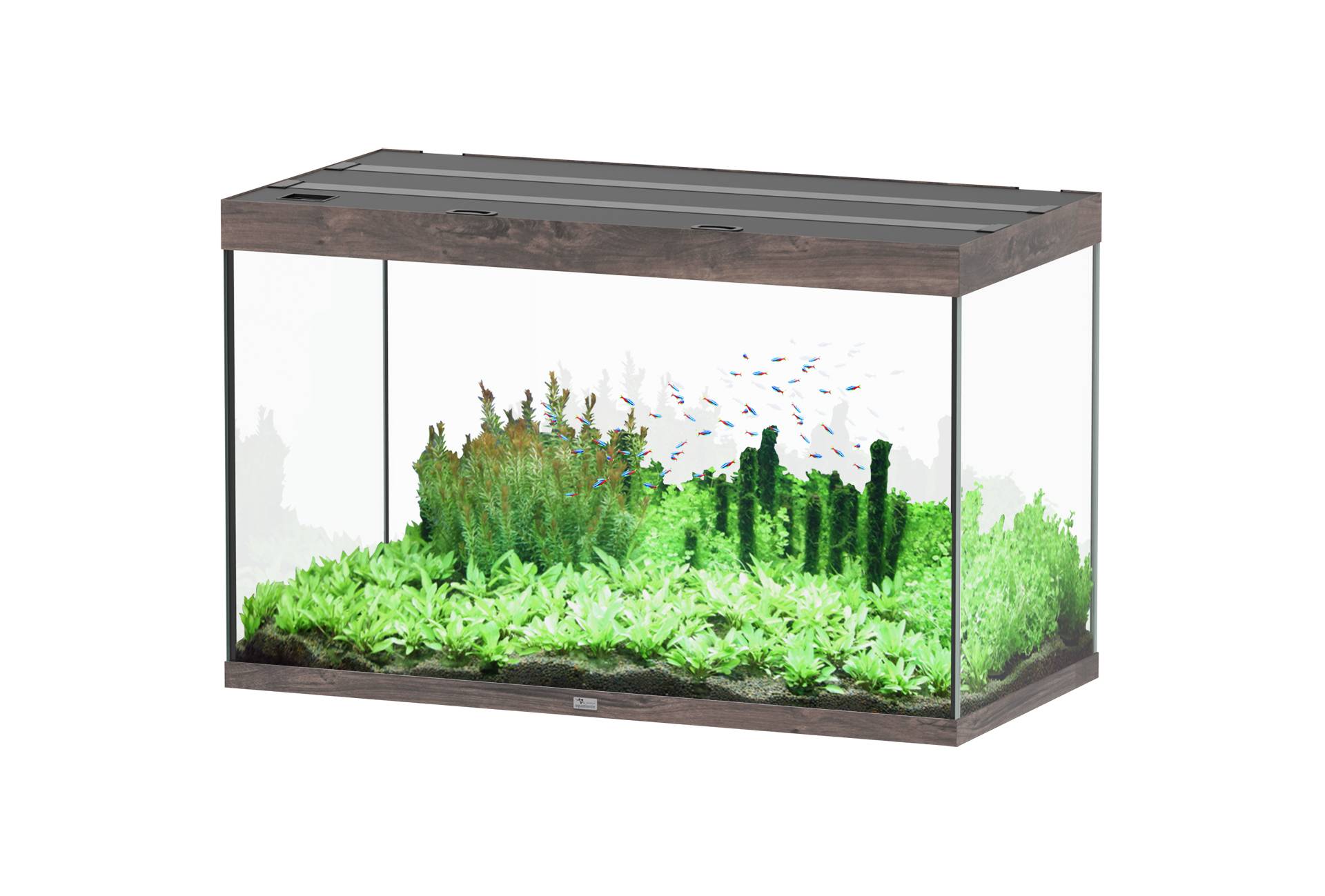 Aquatlantis - Aquarium pour poissons Sublime Chêne Sauvage 433 L - Aquatlantis