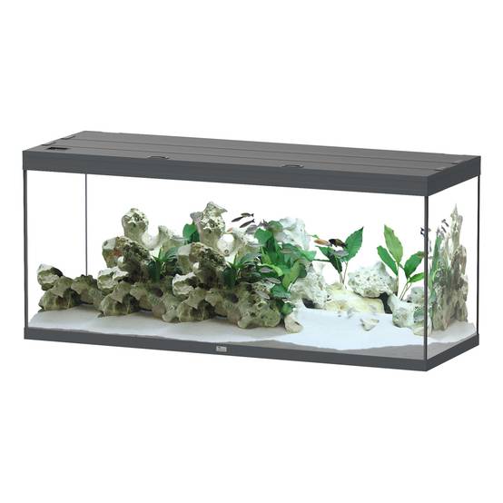 Aquatlantis - Aquarium pour poissons Splendid Ultra Gris Anthracite 450 L - Aquatlantis - Image 1