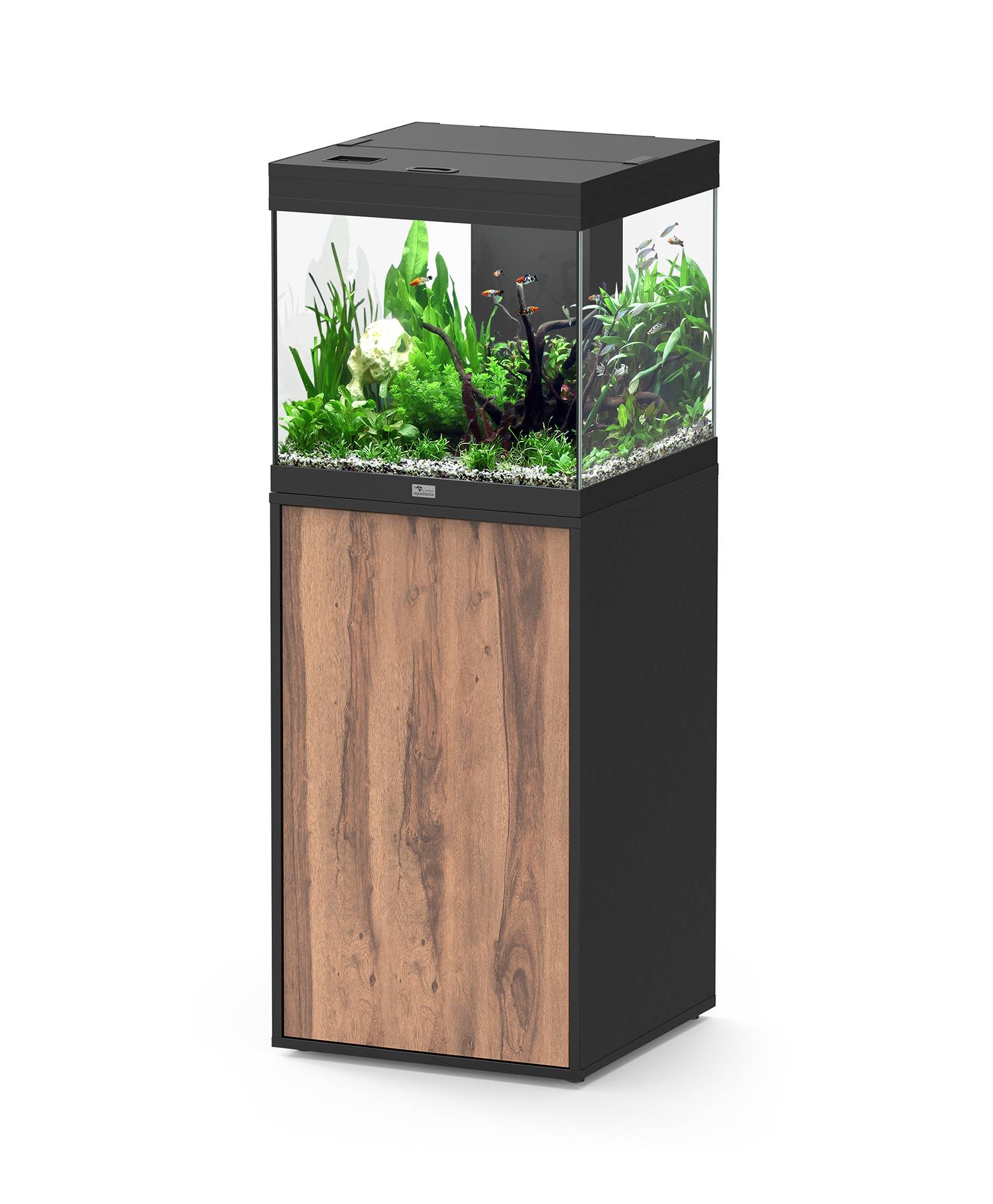 Aquatlantis - Ensemble Aquarium pour poissons + Meuble Noir Porte Bois 97 L - Aquatlantis - Image 1