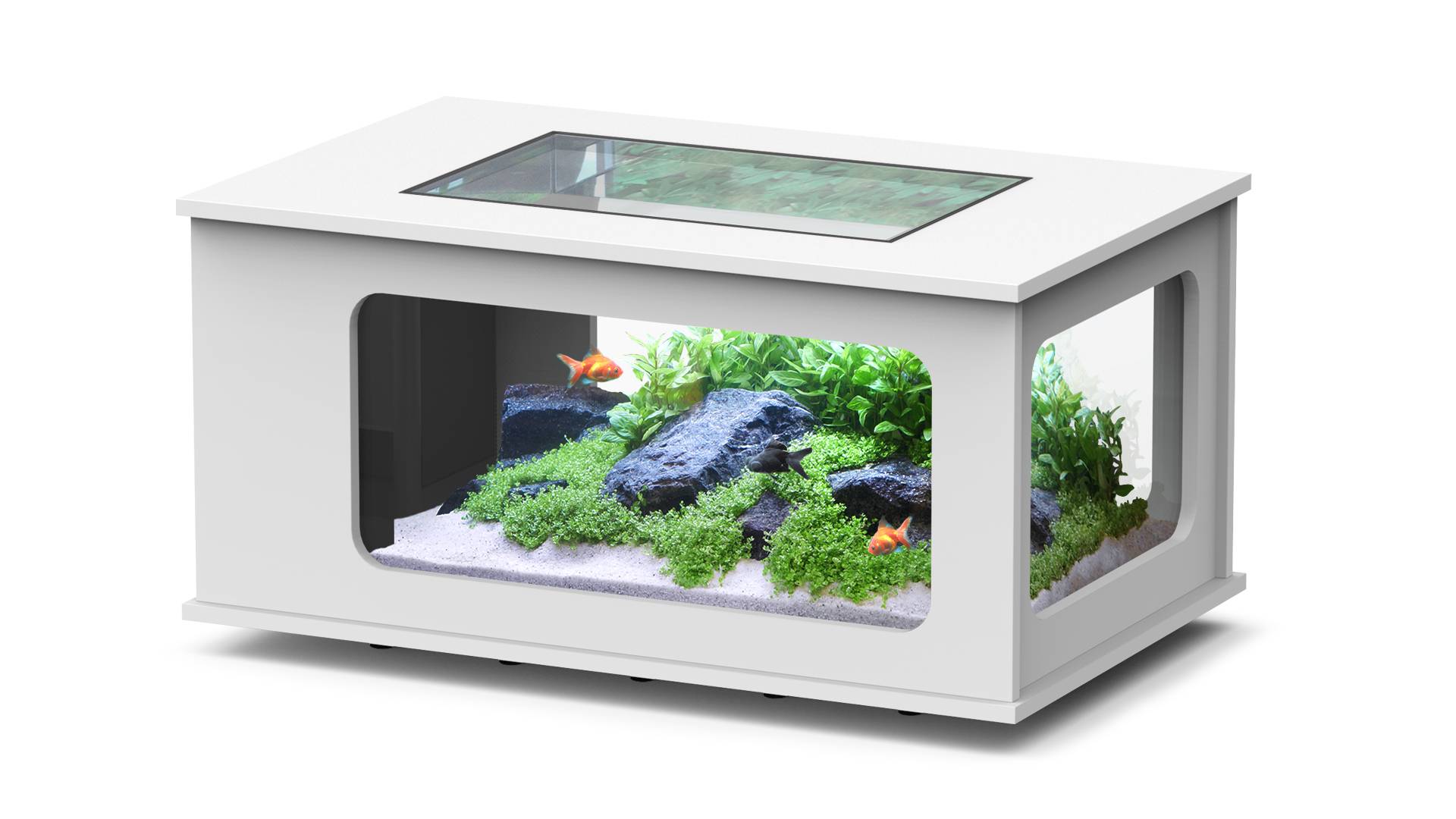 Aquatlantis - Aquarium pour poissons Aquatable  Blanc 177L -Aquatlantis - Image 1