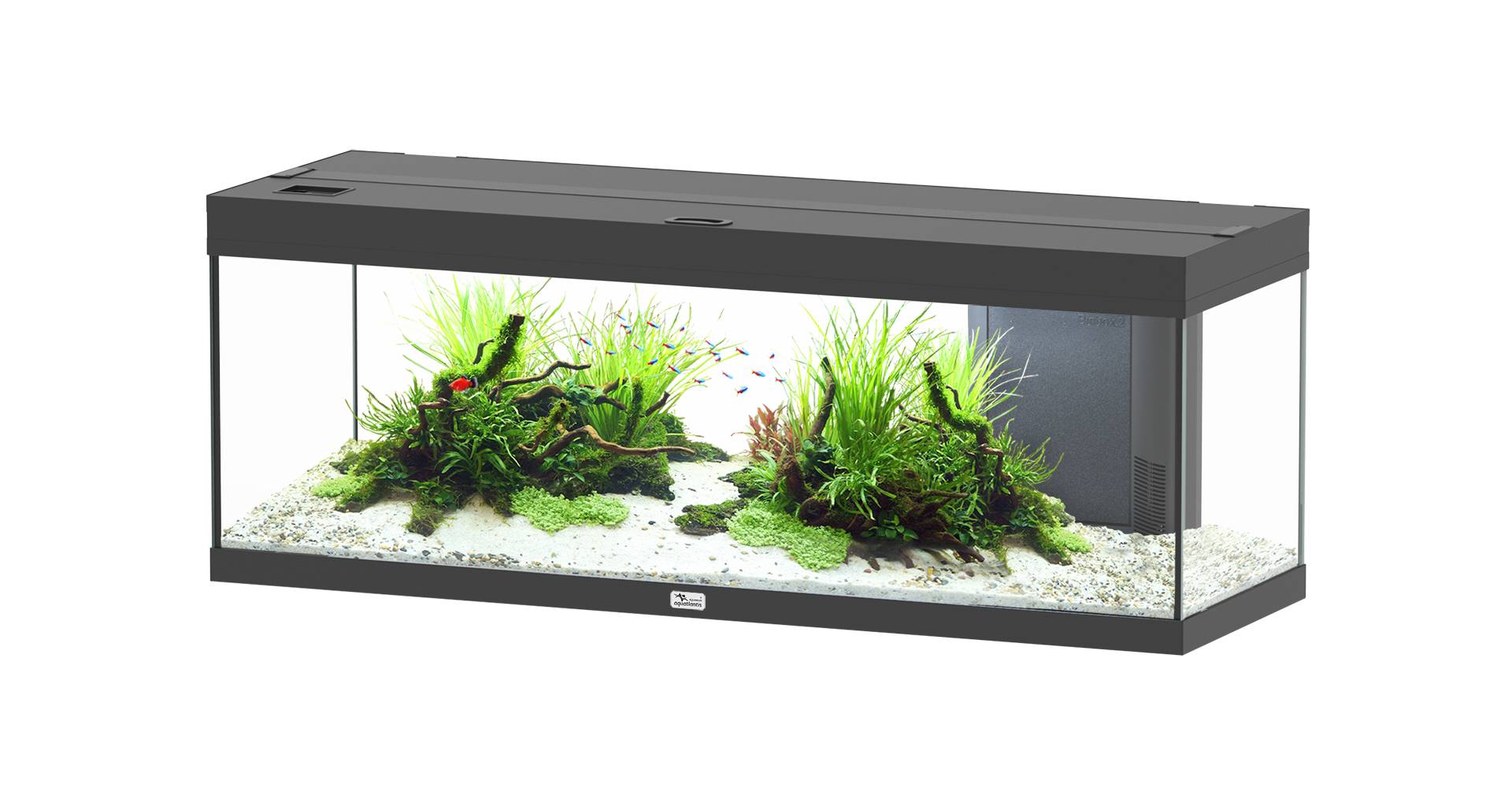Aquatlantis - Aquarium pour poissons Prestige Noir 170L  - Aquatlantis - Image 1