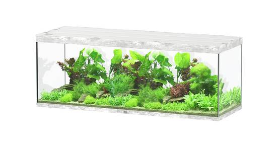 Aquatlantis - Aquarium pour poissons Sublime Ultra Béton 853 L - Aquatlantis - Image 1