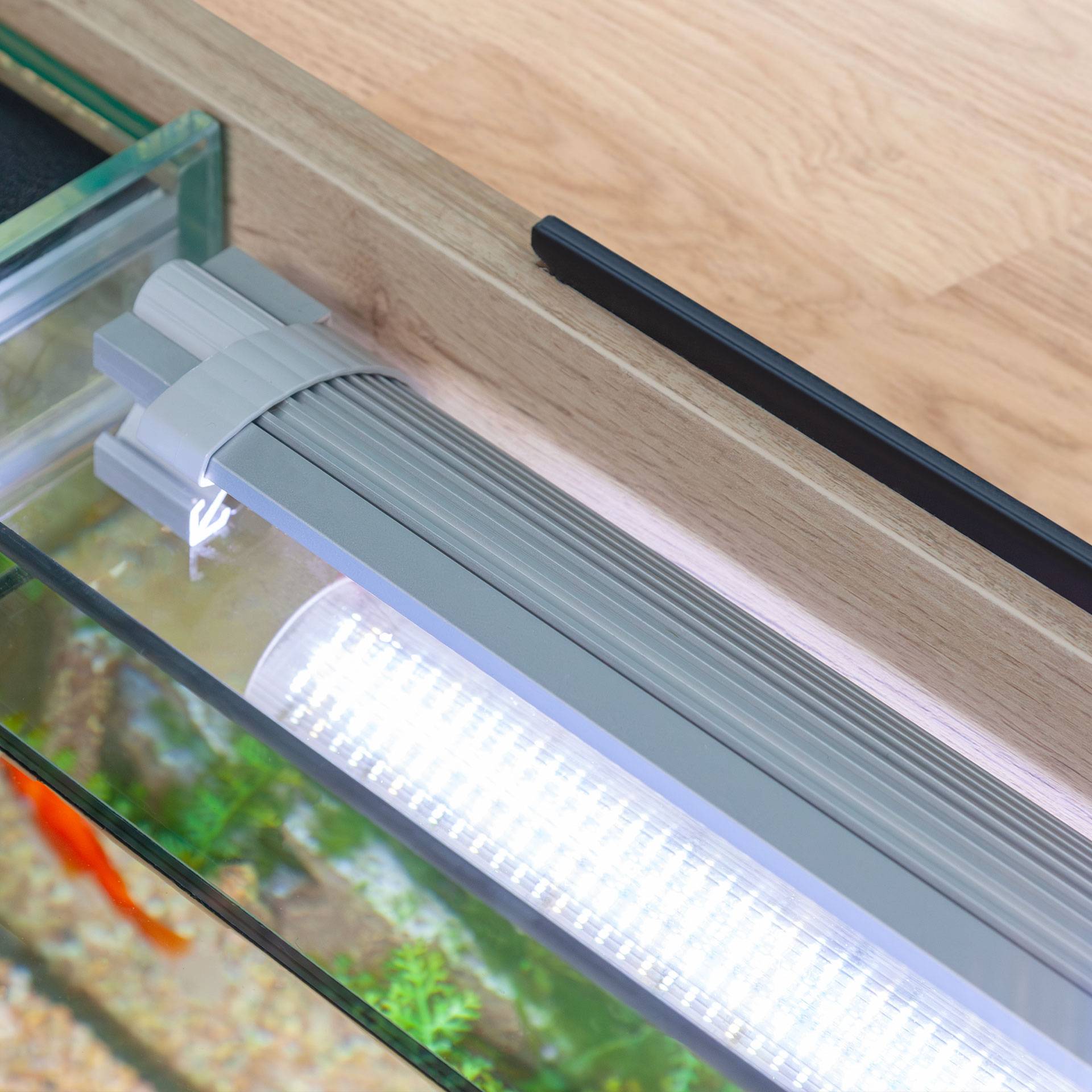Aquatlantis - Ensemble Aquarium pour poissons Aquatable Chêne Clair 177 L - Aquatlantis - Image 7
