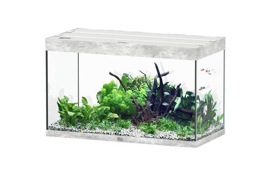 Aquatlantis - Aquarium pour poissons Sublime Ultra Béton 246 L -Aquatlantis - Image 1