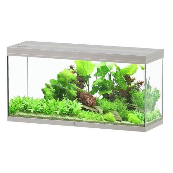 Aquatlantis - Aquarium pour poissons Splendid Ultra EF Inox 240 L - Aquatlantis - Image 1