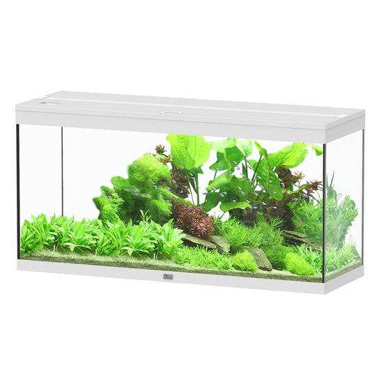 Aquatlantis - Aquarium pour poissons Splendid Ultra Blanc 240 L - Aquatlantis - Image 1