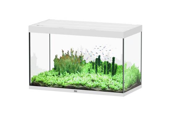 Aquatlantis - Aquarium pour poissons Splendid Ultra Blanc 433 L - Aquatlantis