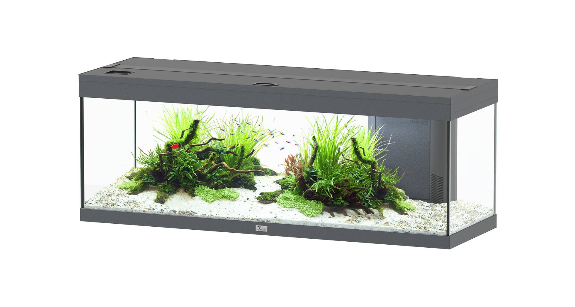 Aquatlantis - Aquarium pour poissons Prestige Gris Anthracite 170 L - Aquatlantis - Image 1