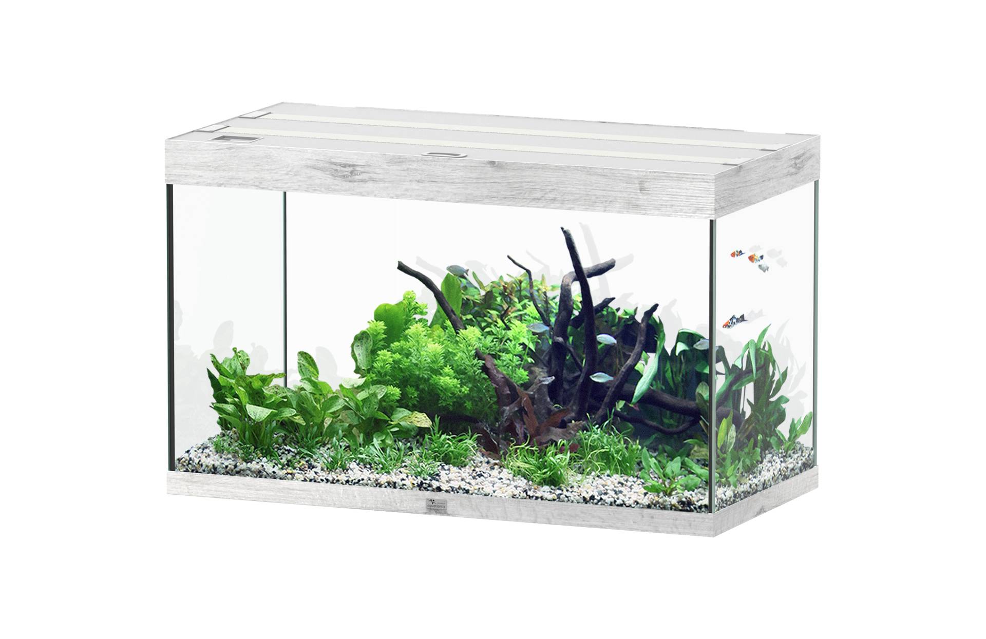 Aquatlantis - Aquarium pour poissons Sublime Ultra Chêne Blanc 246 L -Aquatlantis - Image 1